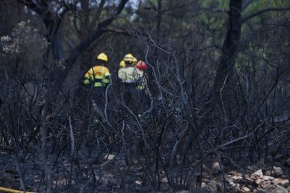 Efectius dels bombers remullant una de les zones de la urbanització Mas Vermell afectada per l'incendi.