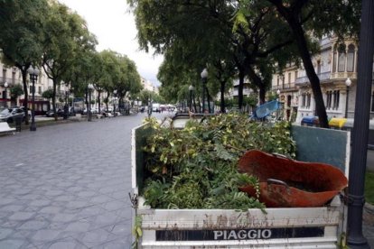 Imagen de la poda en la Rambla de Tarragona