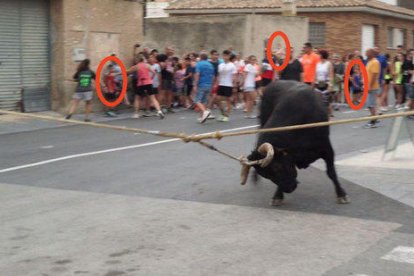 Plano general del 'bou capllaçat' de este pasado fin de semana en Santa Bàrbara con los menores participantes rodeados.