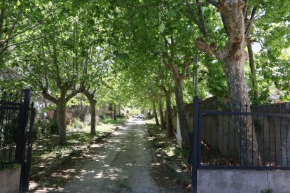 Puerta de entrada y camino de acceso a la finca de Villa Urrutia de l'Albiol.