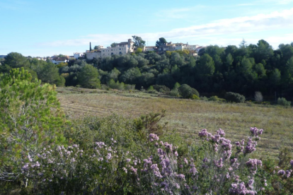 Una ruta circular que atraviesa el torrente de Renau