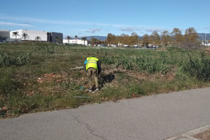 Miembros de ARSU limpiaron por última vez los solares viernes.