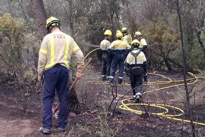 Els bombers a la zona de l'incendi.