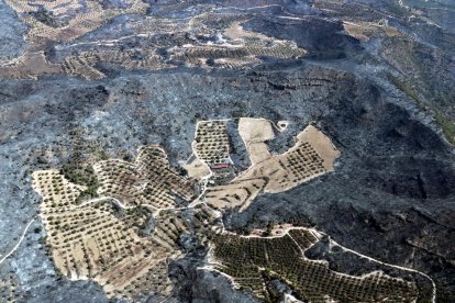 Vista aèria d'una zona agrícola i d'una construcció envoltades de zones cremades a l'incendi de la Ribera d'Ebre.