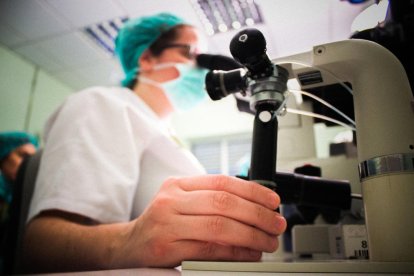 Imagen de archivo de una mujer trabajando en un laboratorio