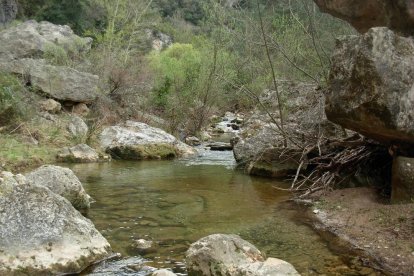 Foto del valle del río Brugent, entre La Riba i Farena.