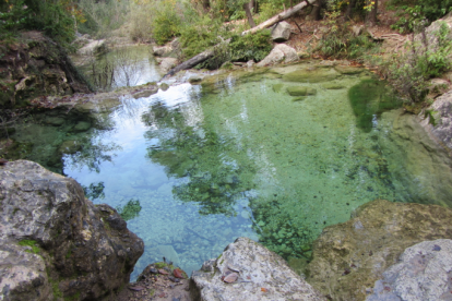 Font de la Llúdriga a Capafonts.