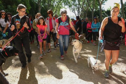 La caminata ha recogido más de 940 euros en inscripciones.