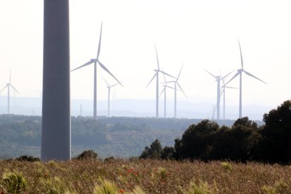 Imatge d'alguns dels aerogeneradors instal·lats a l'altiplà de la Terra Alta.