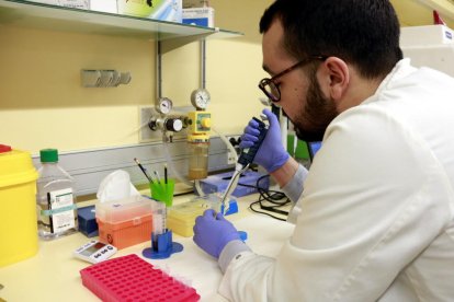 Un estudiant de predoctorat treballant al laboratori del grup (VHIR).