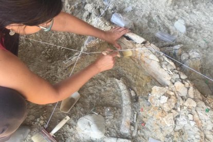 Detalle de la excavación de un hueso de mamut en el Barranco de la Boella esta campaña.