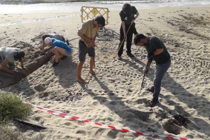 Imagen de los expertos trabajando en la zona con el fin de localizar el nido.