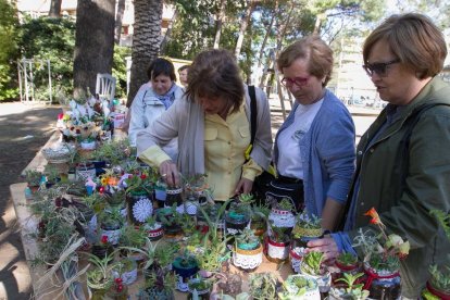 Algunas de las plantas que se ofrecieron en la edición anterior.