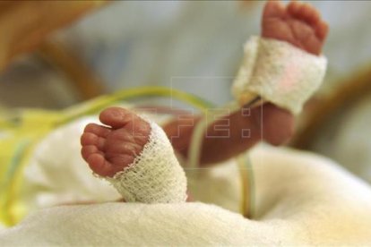 Los pies de una niña prematura en una in de los pies de una niña nacida prematuramente, en una incubadora en un hospital.