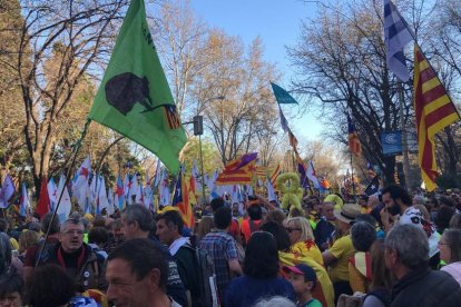 Els passeig s'omple d'independentistes.