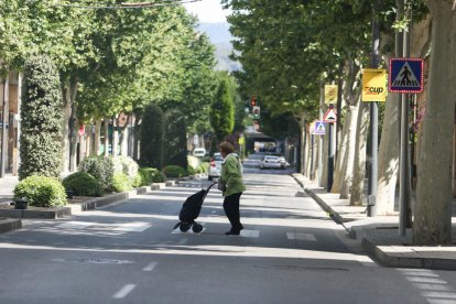 La iluminación de los pasos de peatones de la avenida Països Catalans se terminará a finales de mes.