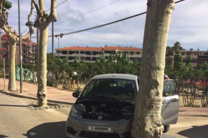 Imagen del coche accidentado, que chocó contra un árbol.