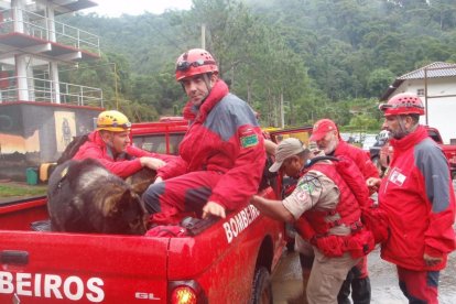 Miembros de la ONG K-9 en una imagen de archivo.