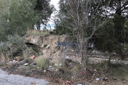 Sector del Acueducto del Gaià afectado por la masa arbórea y la acumulación de desperdicios.