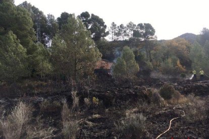 Han cremat. 5.000 hectàrees de vegetació.