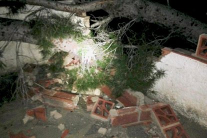 El árbol ha roto el muro de la casa sobre el que ha caído.