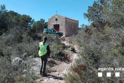 Una agent rural durant el dispotiu.