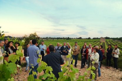 L'activitat enoturística comença contemplant la posta de sol des de les vinyes.