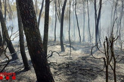 La zona cremada per l'incendi