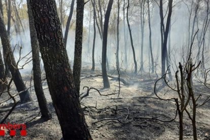 La zona afectada per l'incendi