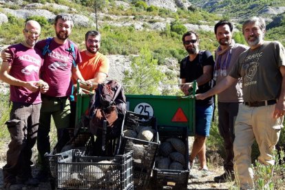 Pla general dels tècnics que han participat en l'alliberament de tortugues marines al Parc Natural de Montsant.