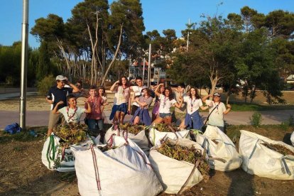 Els joves escoltes amb el 'botí' de la planta invasora recollida.