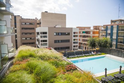 Aspecte que ofereix el jardí, vist des d'una de les habitacions de l'establiment hoteler.