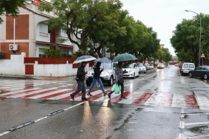 Algunos de los pasos cebra donde se instalarán leds.