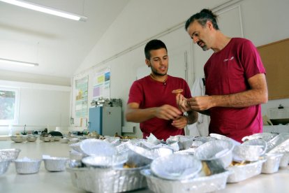 Experts del CTFC treballen amb bolets al laboratori del Centre Tecnològic Forestal de Catalunya.