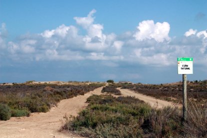 Plano del camino que comunica con la playa en la zona de la Bassa de l'Arena, en Deltebre.