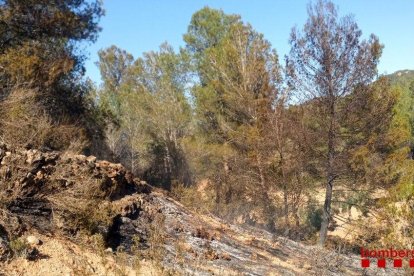 El fuego han empezado hacia las dos del mediodía.