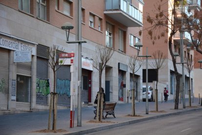 Imagen de los árboles de la calle Rovira i Virgili.