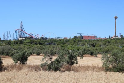 Campos agrícolas donde está previsto el Centro Recreativo y Turístico (CRT) de Vila-seca y Salou y al fondo PortAventura.