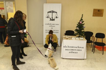 Punt d'informació i assessoració animalista ahir als Jutjats