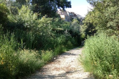 Plano general del río Siurana a su paso por Poboleda, completamente seco.