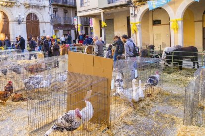 Plaça on es mostraven les gàbies amb les aus.