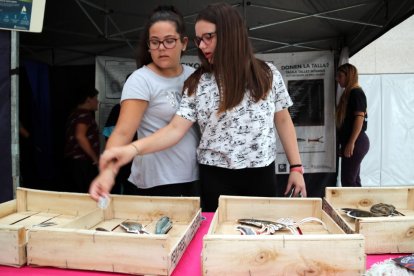 Dos alumnas trabajan las marcas comerciales y el tipo de pescado|pez que se puede vender a uno de los stands del proyecto educativo del GALP que se ha hecho en Deltebre. Imagen del 7 de octubre del 2019 (horizontal)