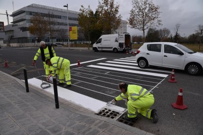 Imatge del treballadors repintat els passos de vianants