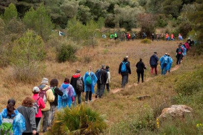 Imagen de una caminata realizada el año pasado.