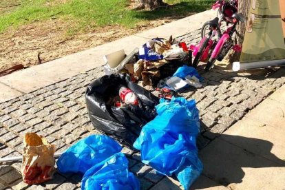 La mayoría de los residuos recogidos fueron colillas, envases de comida rápida y bridas.