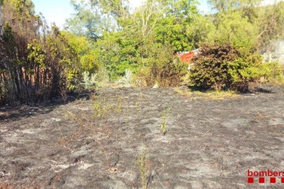 El fuego se ha declarado en la zona del Hort d'Altadill.