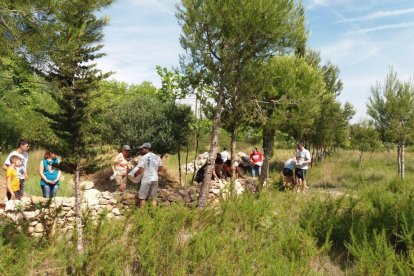 La jornada compta amb tallers i activitats que pretenen conscienciar de la necessitat de tenir cura del medi natural.