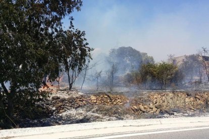 Imatge de l'incendi dels Pallaresos.