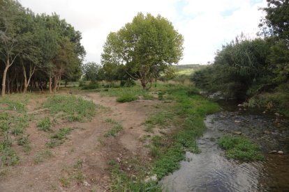 La jornada començarà amb una caminada fins al lloc i un esmorzar popular.