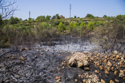 Aspecte de l'entorn de la Muntanyeta després de l'incendi.